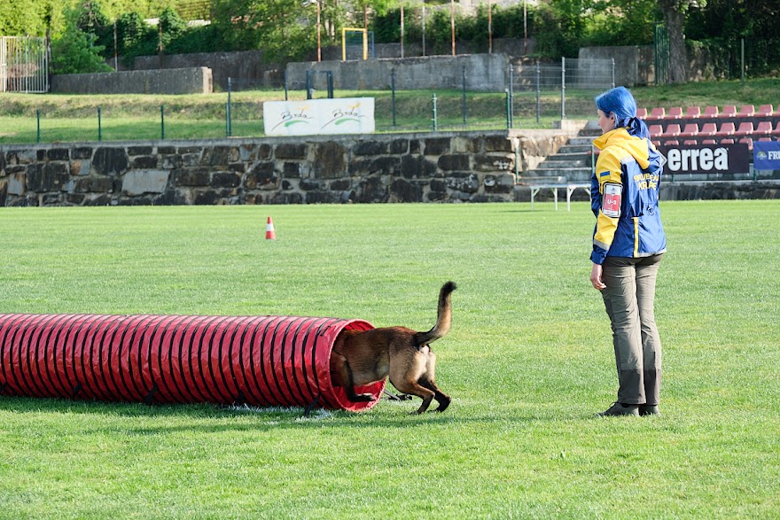 FCI SAR WC 2026_Foto-Andrej Gustincic_274.jpg