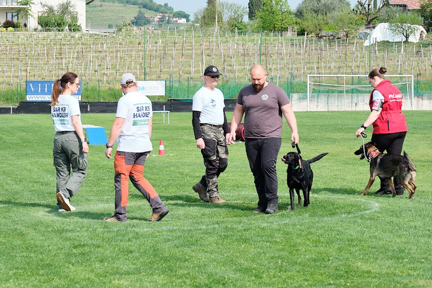 FCI SAR WC 2026_Foto-Andrej Gustincic_390.jpg