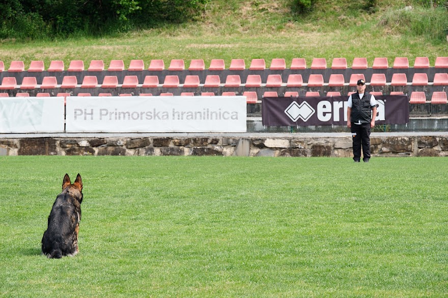 FCI SAR WC 2026_Foto-Andrej Gustincic_491.jpg