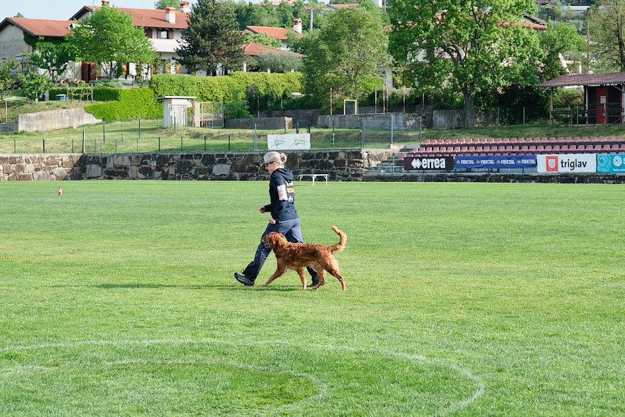 FCI SAR WC 2026_Foto-Andrej Gustincic_283.jpg
