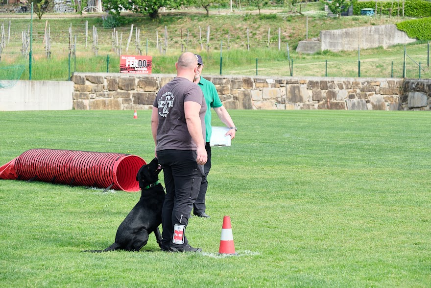 FCI SAR WC 2026_Foto-Andrej Gustincic_406.jpg
