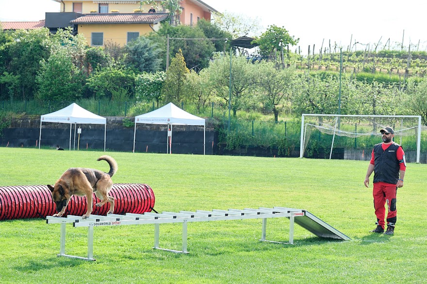 FCI SAR WC 2026_Foto-Andrej Gustincic_377.jpg
