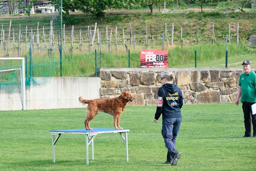 FCI SAR WC 2026_Foto-Andrej Gustincic_293.jpg