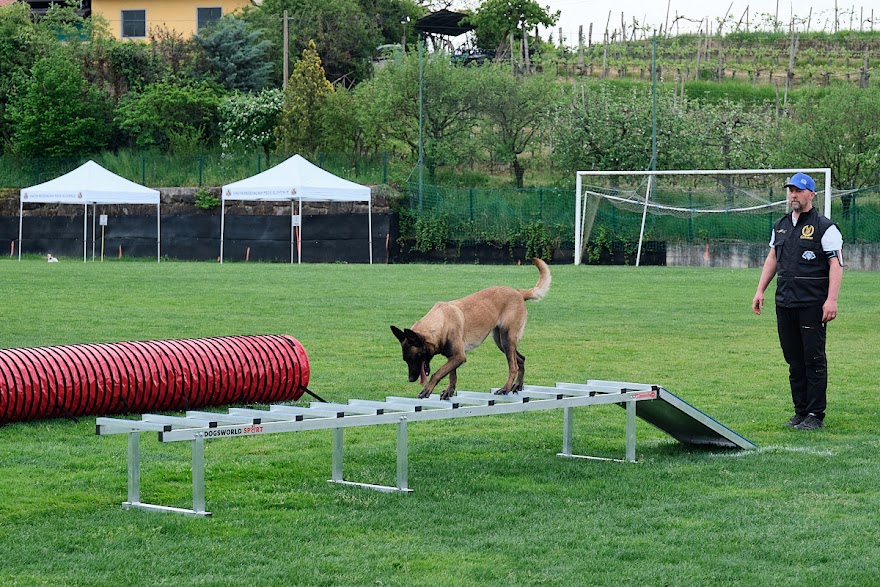 FCI SAR WC 2026_Foto-Andrej Gustincic_547.jpg