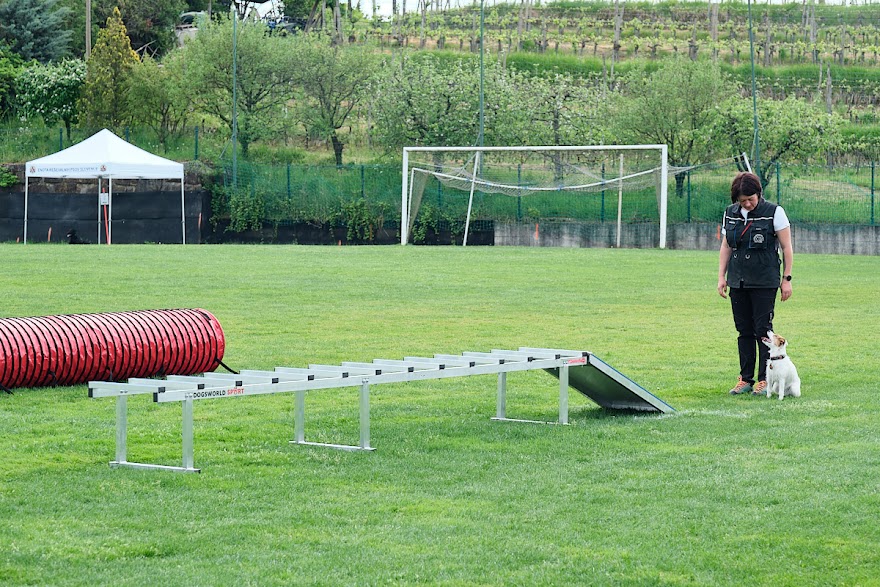 FCI SAR WC 2026_Foto-Andrej Gustincic_436.jpg