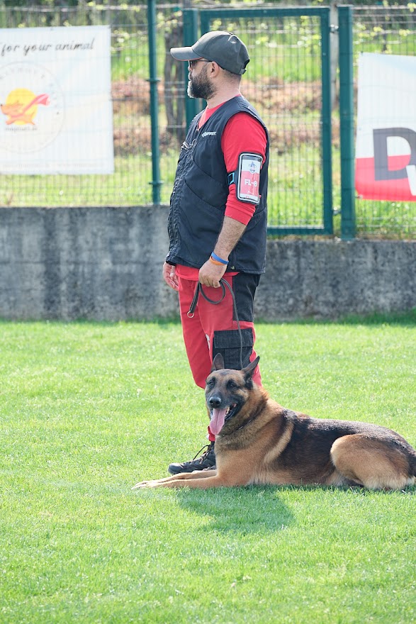 FCI SAR WC 2026_Foto-Andrej Gustincic_380.jpg