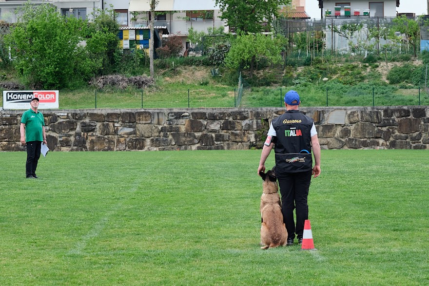 FCI SAR WC 2026_Foto-Andrej Gustincic_532.jpg