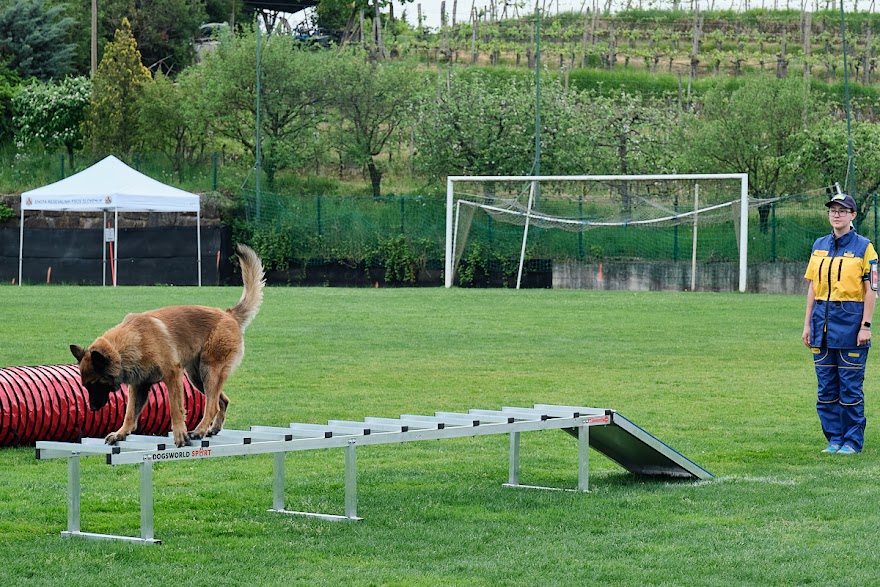 FCI SAR WC 2026_Foto-Andrej Gustincic_519.jpg