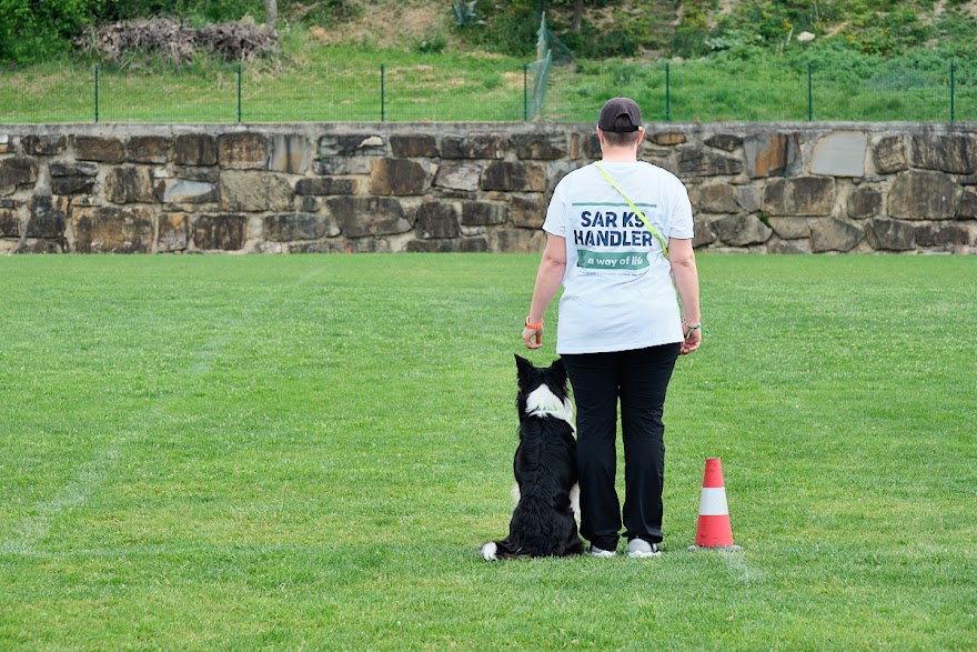FCI SAR WC 2026_Foto-Andrej Gustincic_460.jpg