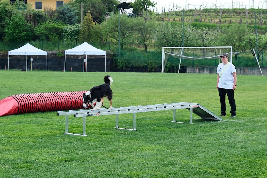 FCI SAR WC 2026_Foto-Andrej Gustincic_476.jpg