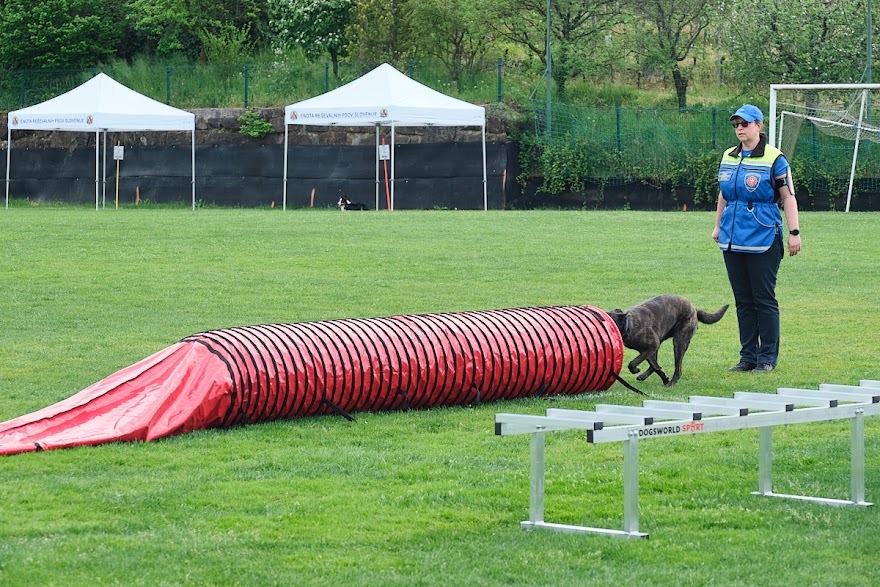 FCI SAR WC 2026_Foto-Andrej Gustincic_457.jpg