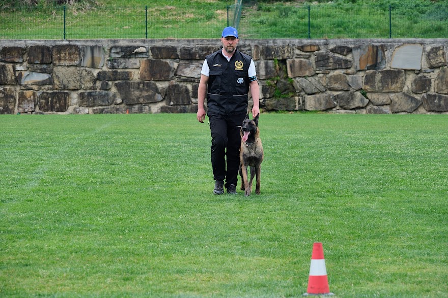 FCI SAR WC 2026_Foto-Andrej Gustincic_533.jpg