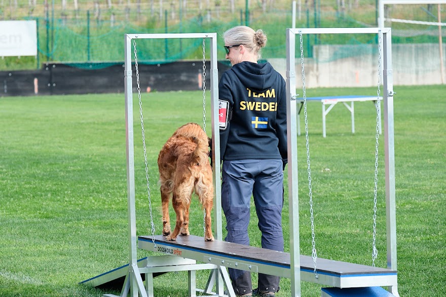 FCI SAR WC 2026_Foto-Andrej Gustincic_298.jpg
