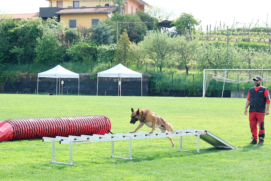 FCI SAR WC 2026_Foto-Andrej Gustincic_376.jpg