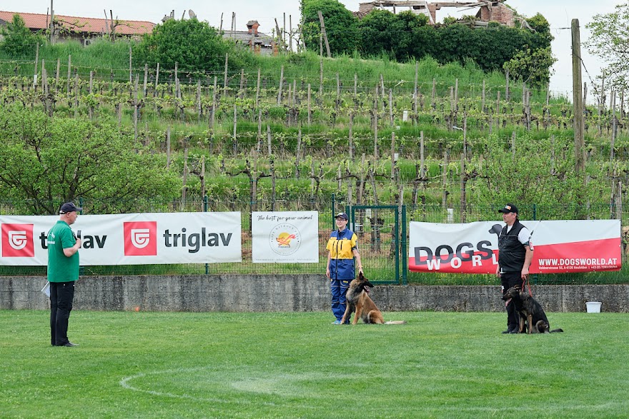 FCI SAR WC 2026_Foto-Andrej Gustincic_524.jpg