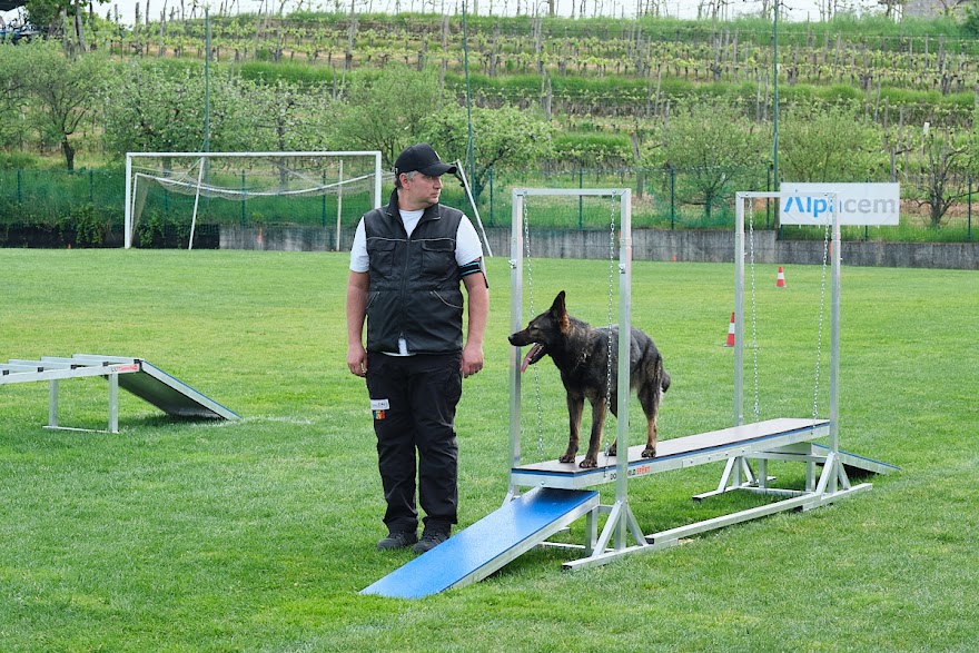 FCI SAR WC 2026_Foto-Andrej Gustincic_502.jpg