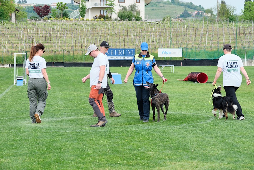 FCI SAR WC 2026_Foto-Andrej Gustincic_443.jpg