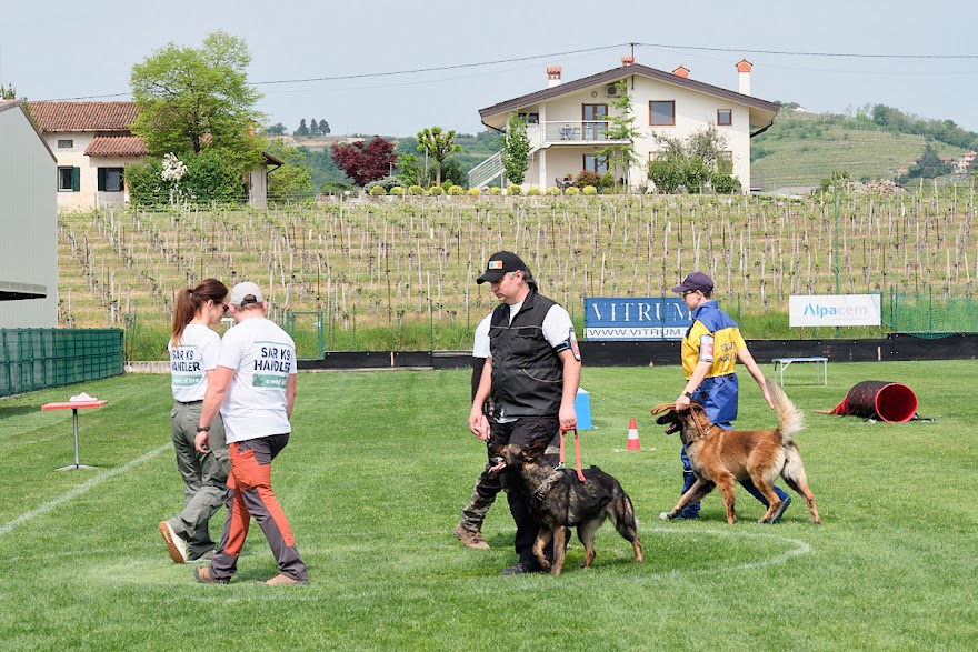 FCI SAR WC 2026_Foto-Andrej Gustincic_483.jpg