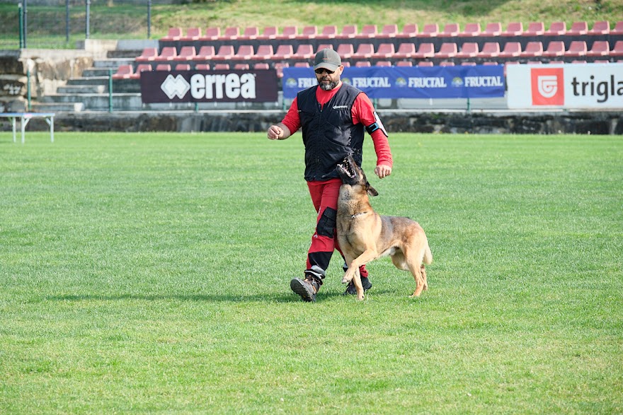 FCI SAR WC 2026_Foto-Andrej Gustincic_366.jpg