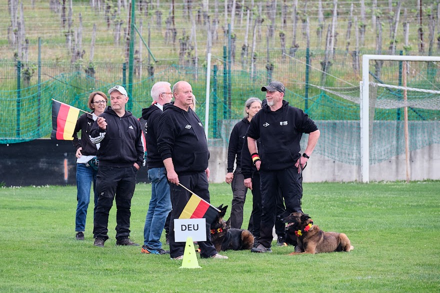 FCI SAR WC 2026_Foto-Andrej Gustincic_565.jpg