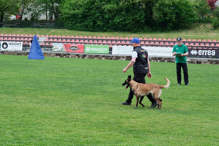 FCI SAR WC 2026_Foto-Andrej Gustincic_534.jpg
