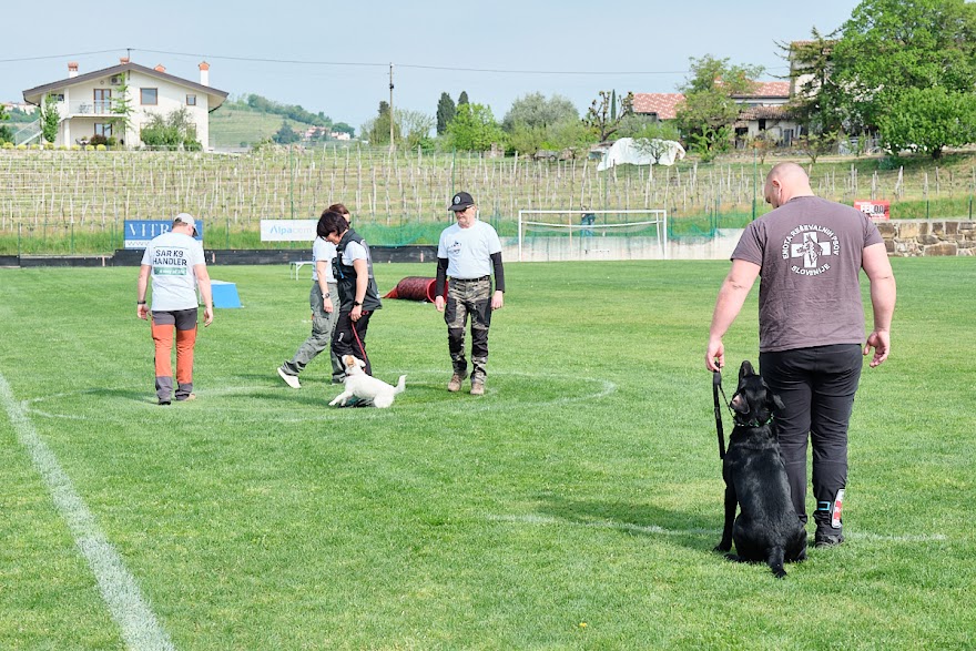 FCI SAR WC 2026_Foto-Andrej Gustincic_397.jpg