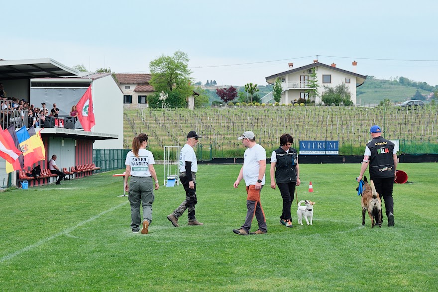 FCI SAR WC 2026_Foto-Andrej Gustincic_528.jpg