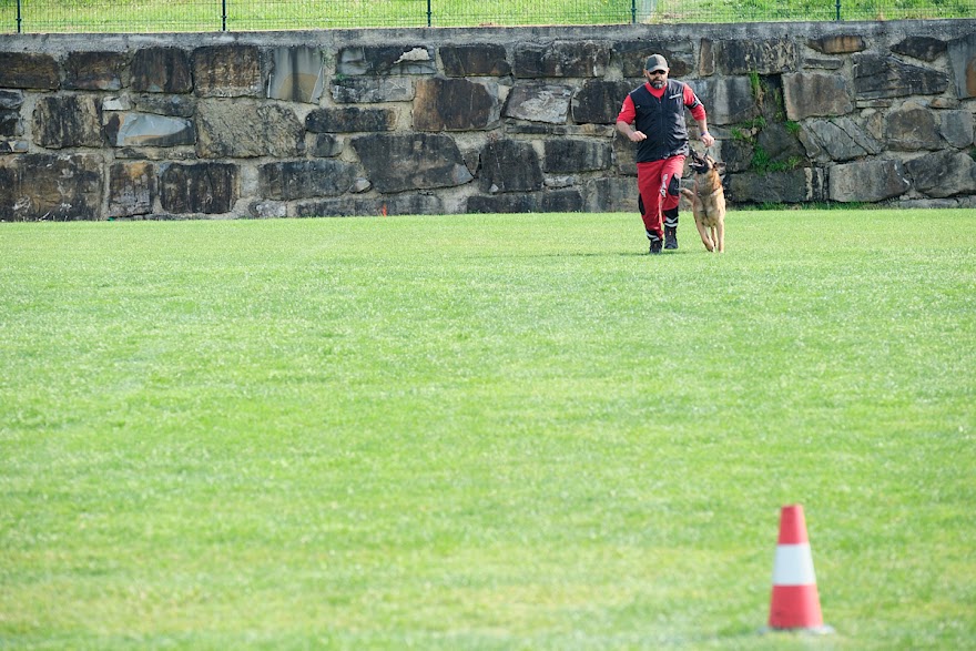 FCI SAR WC 2026_Foto-Andrej Gustincic_364.jpg