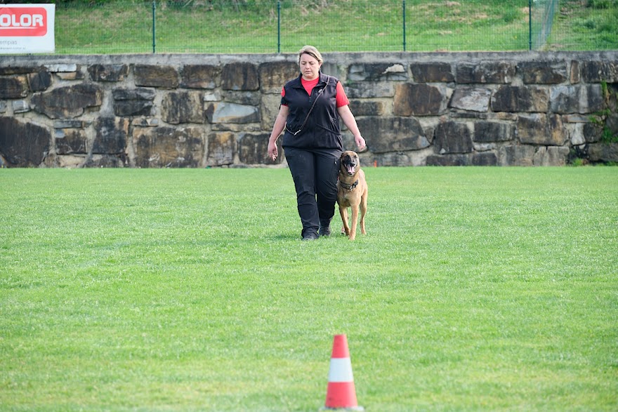 FCI SAR WC 2026_Foto-Andrej Gustincic_312.jpg