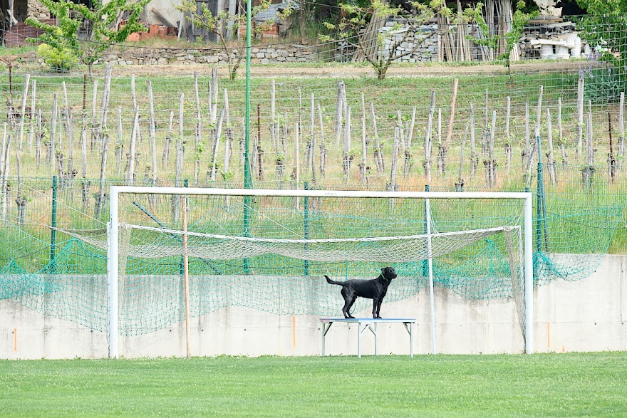 FCI SAR WC 2026_Foto-Andrej Gustincic_415.jpg