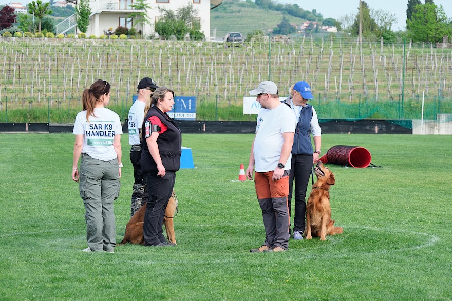 FCI SAR WC 2026_Foto-Andrej Gustincic_306.jpg