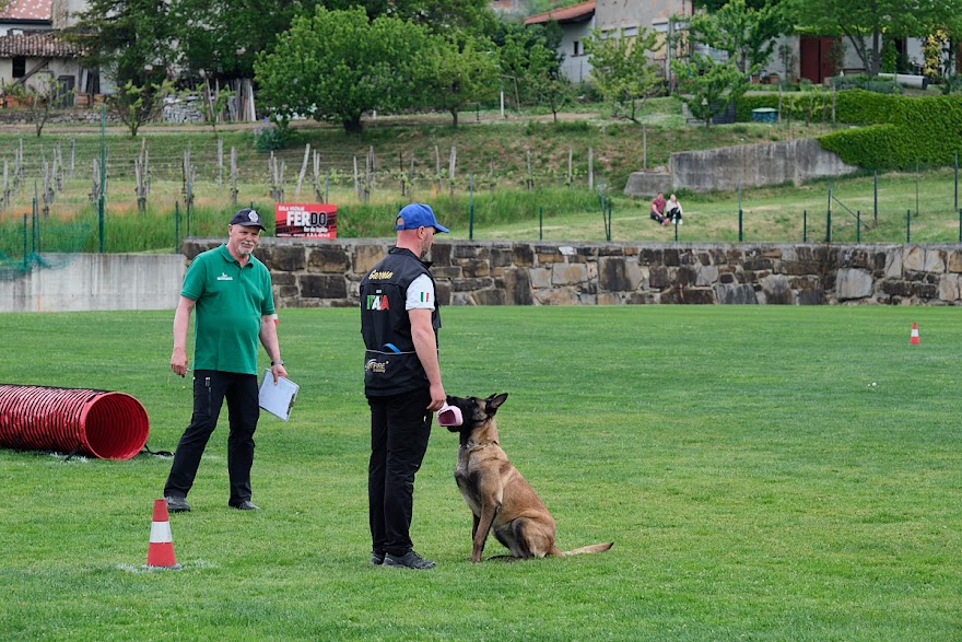 FCI SAR WC 2026_Foto-Andrej Gustincic_541.jpg