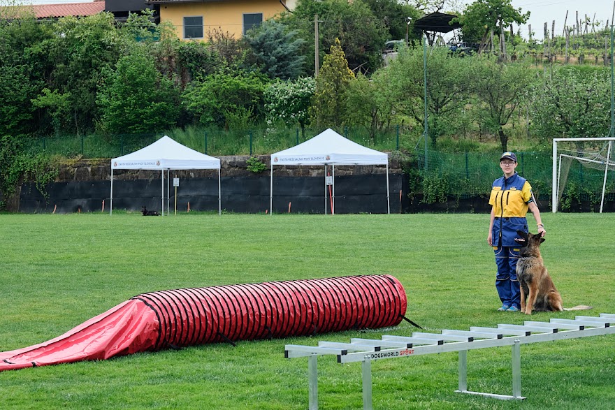 FCI SAR WC 2026_Foto-Andrej Gustincic_517.jpg