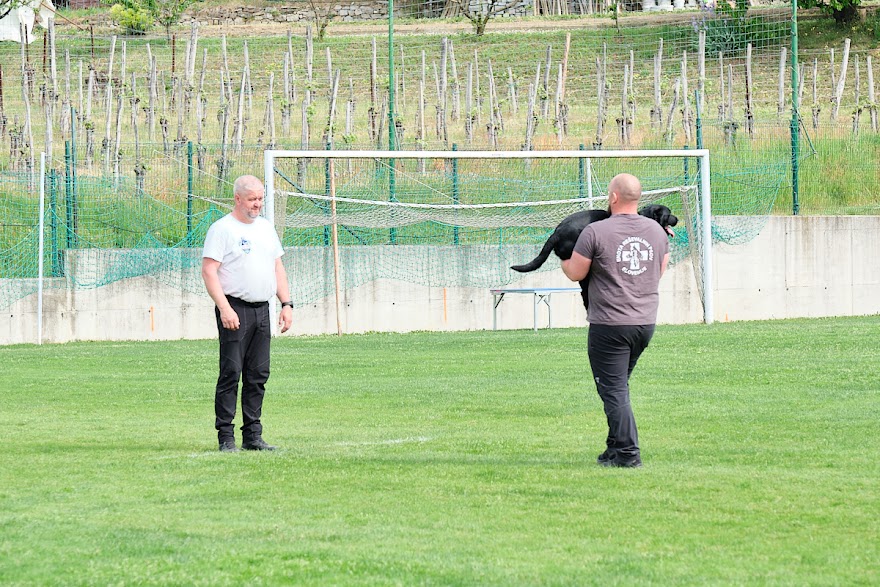 FCI SAR WC 2026_Foto-Andrej Gustincic_417.jpg