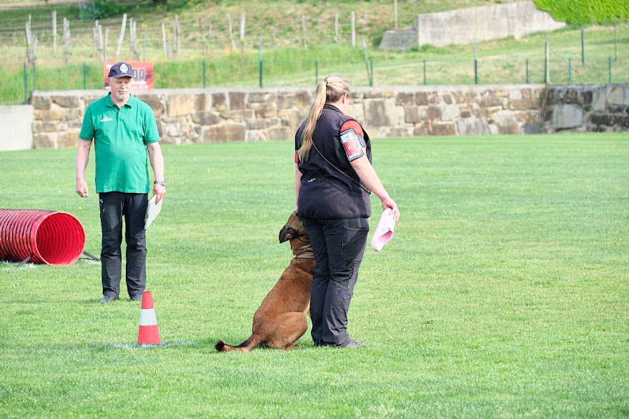 FCI SAR WC 2026_Foto-Andrej Gustincic_319.jpg