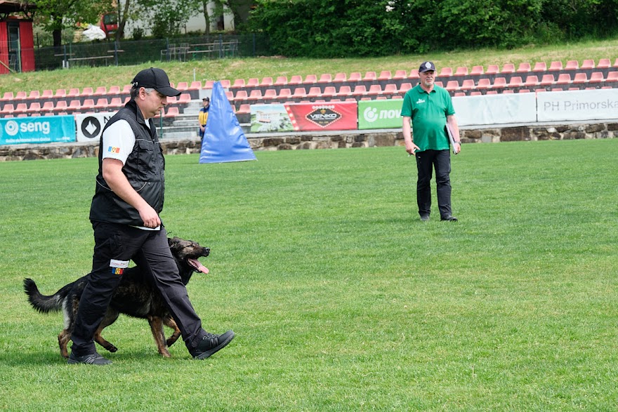 FCI SAR WC 2026_Foto-Andrej Gustincic_489.jpg