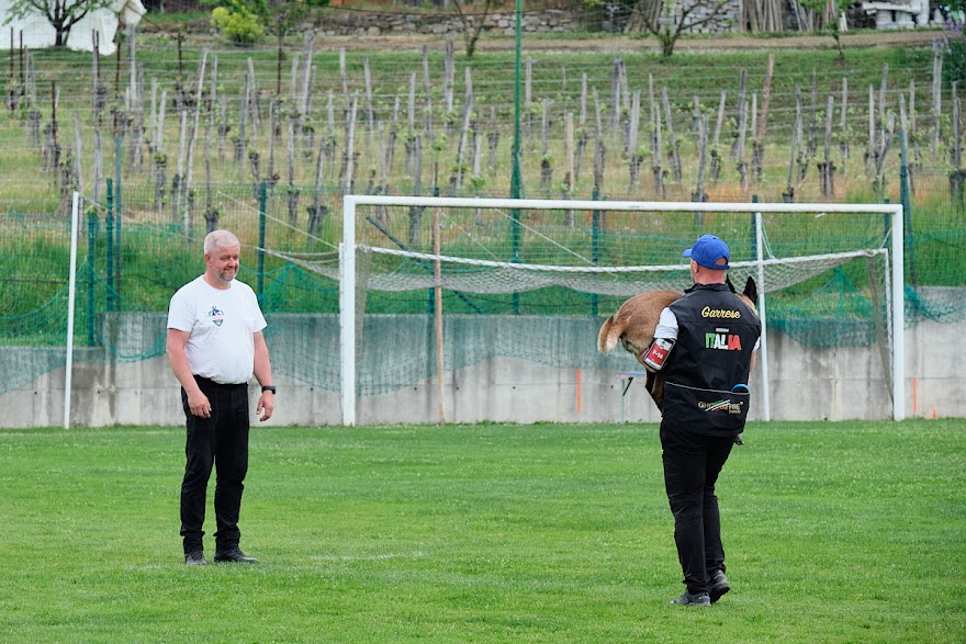 FCI SAR WC 2026_Foto-Andrej Gustincic_544.jpg