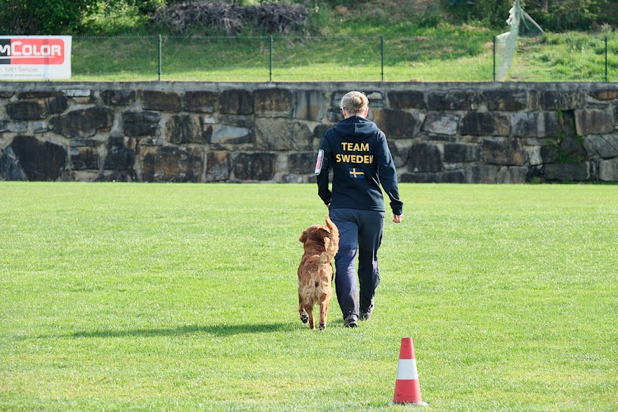 FCI SAR WC 2026_Foto-Andrej Gustincic_279.jpg
