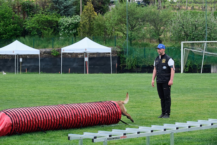 FCI SAR WC 2026_Foto-Andrej Gustincic_545.jpg