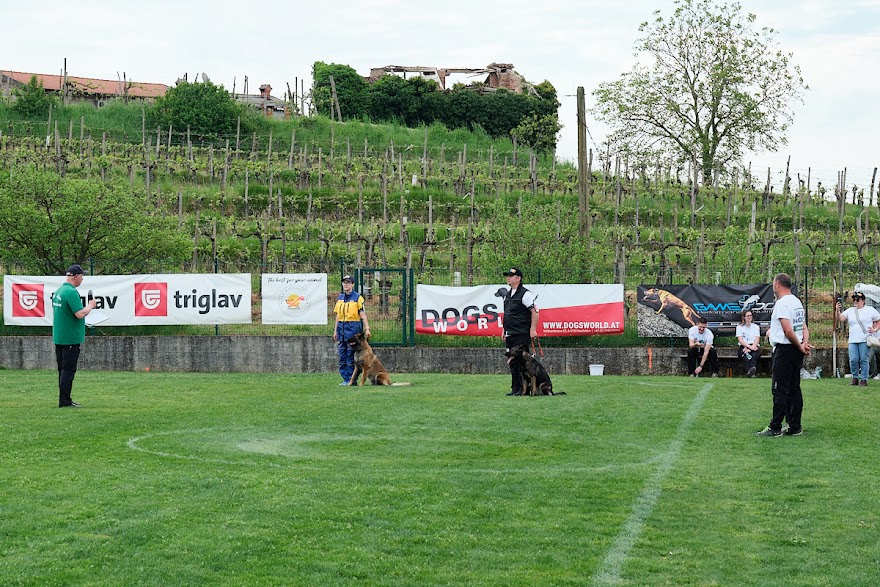 FCI SAR WC 2026_Foto-Andrej Gustincic_523.jpg