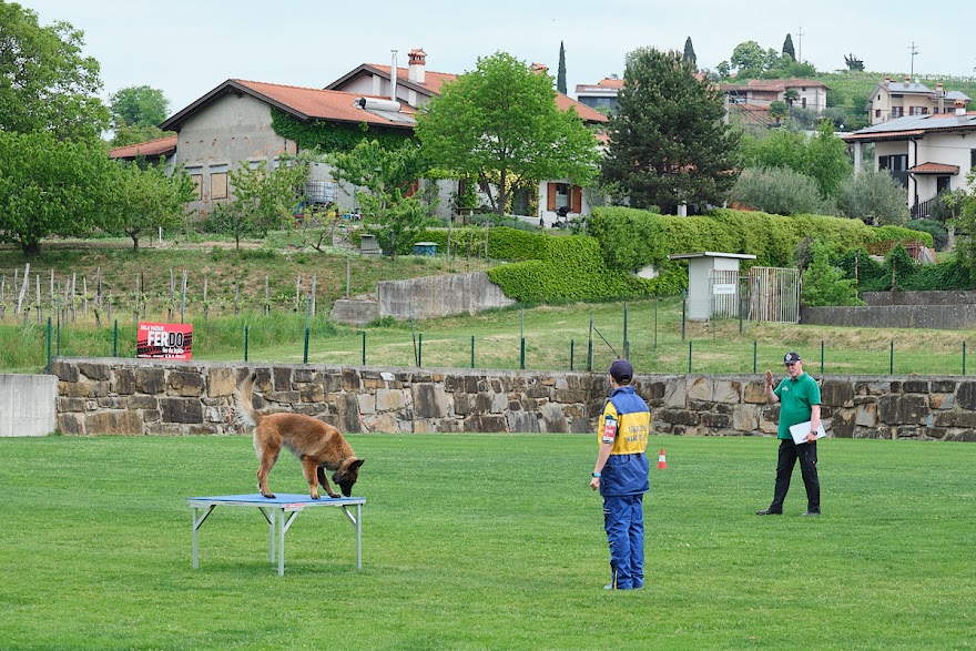 FCI SAR WC 2026_Foto-Andrej Gustincic_515.jpg
