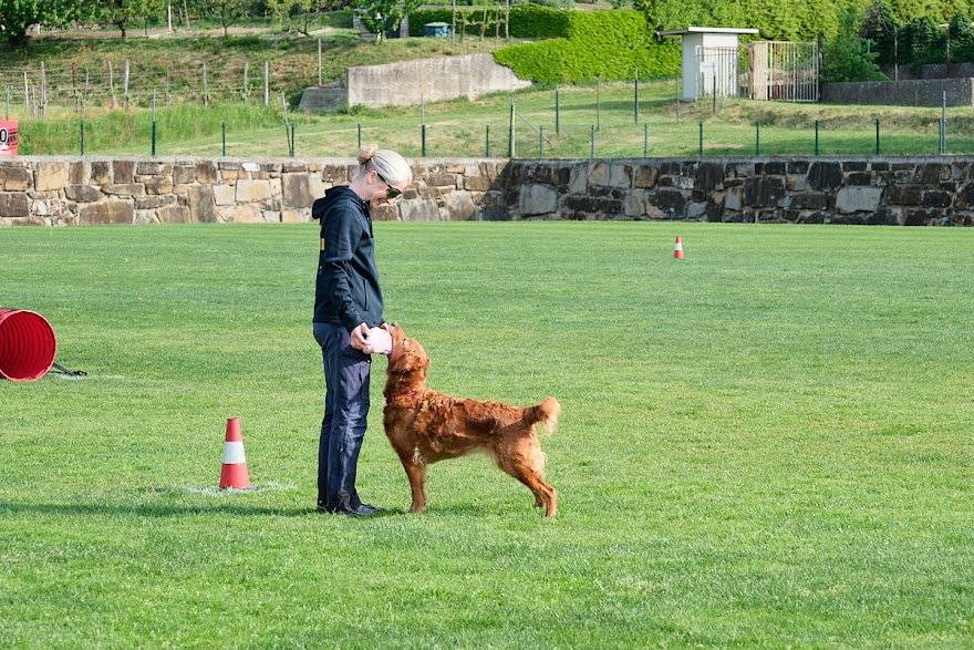 FCI SAR WC 2026_Foto-Andrej Gustincic_289.jpg