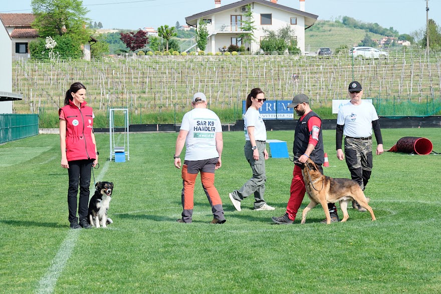 FCI SAR WC 2026_Foto-Andrej Gustincic_348.jpg
