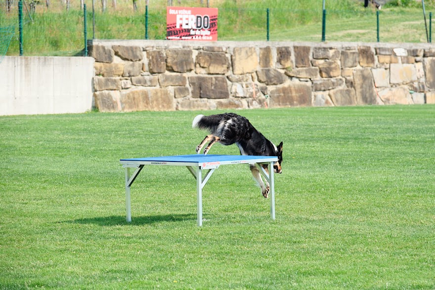 FCI SAR WC 2026_Foto-Andrej Gustincic_357.jpg
