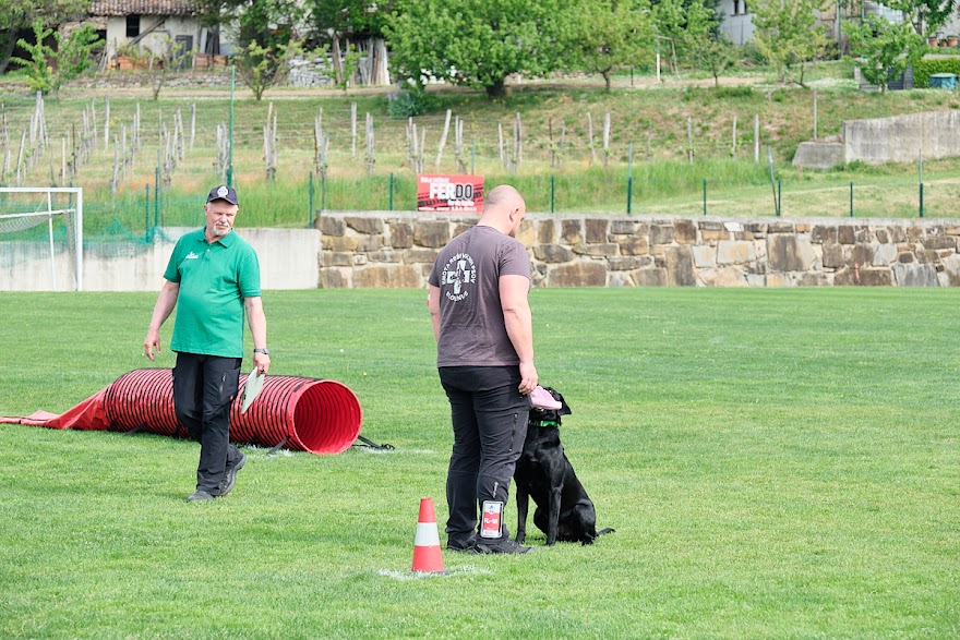 FCI SAR WC 2026_Foto-Andrej Gustincic_414.jpg