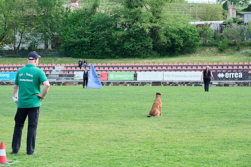 FCI SAR WC 2026_Foto-Andrej Gustincic_316.jpg