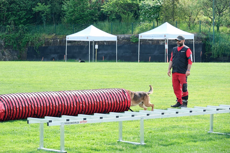 FCI SAR WC 2026_Foto-Andrej Gustincic_375.jpg