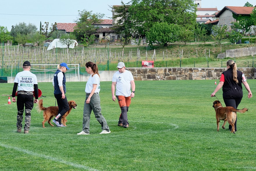 FCI SAR WC 2026_Foto-Andrej Gustincic_305.jpg