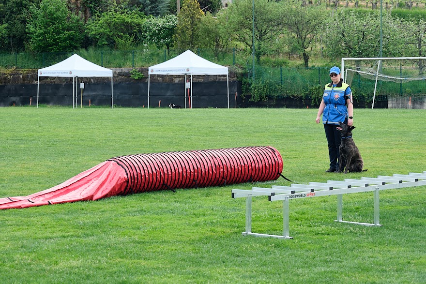 FCI SAR WC 2026_Foto-Andrej Gustincic_456.jpg