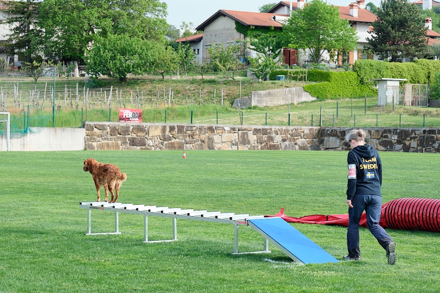 FCI SAR WC 2026_Foto-Andrej Gustincic_296.jpg